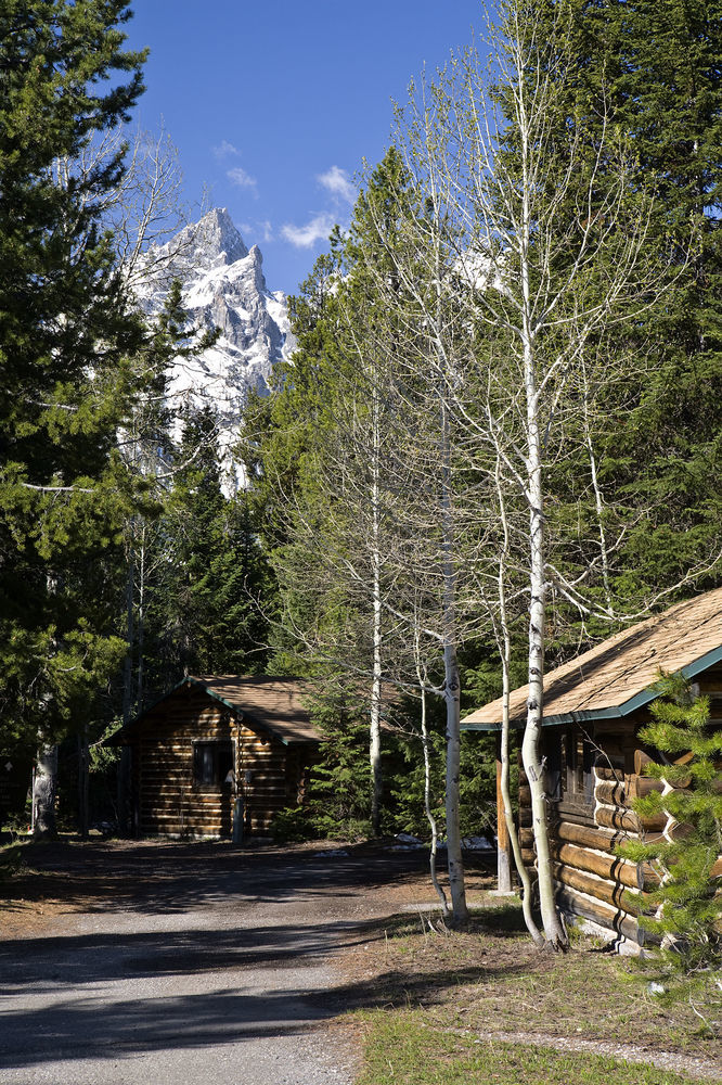 Jenny Lake Lodge Beaver Creek 외부 사진