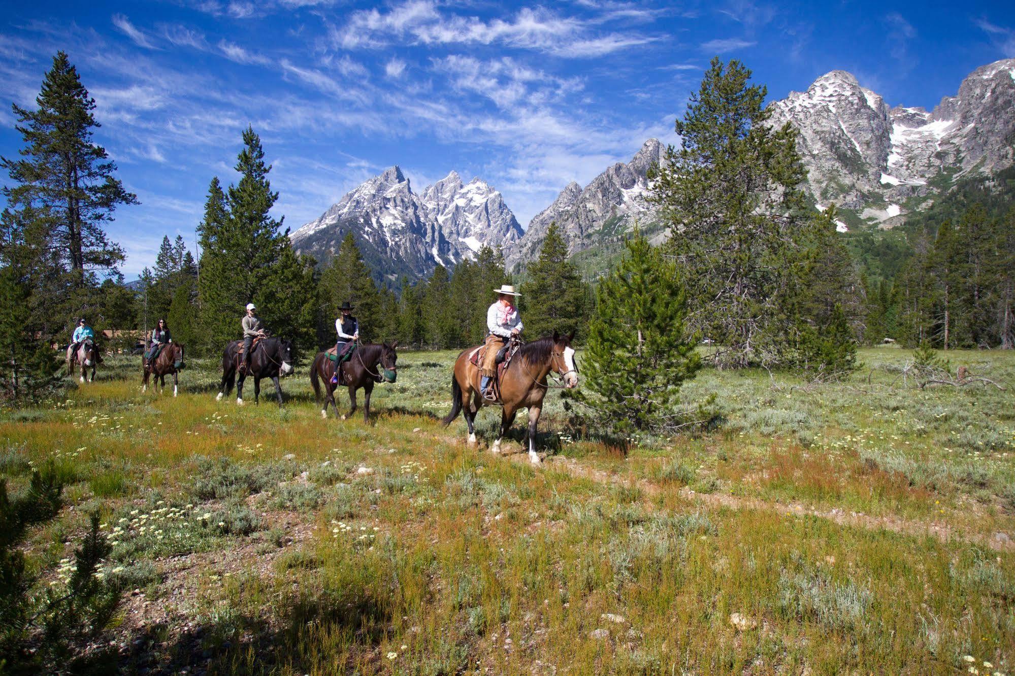 Jenny Lake Lodge Beaver Creek 외부 사진